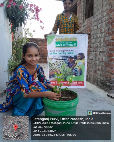 वृक्षारोपण अभियान